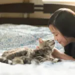 depositphotos_88746850-stock-photo-beautiful-asian-girl-kissing-american